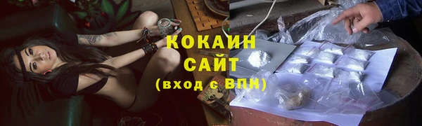 PSILOCYBIN Бородино