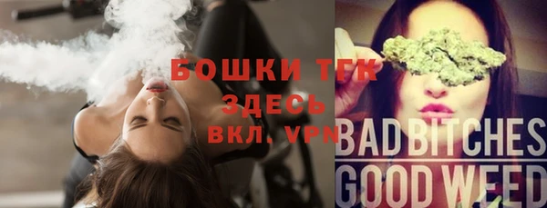 PSILOCYBIN Бородино