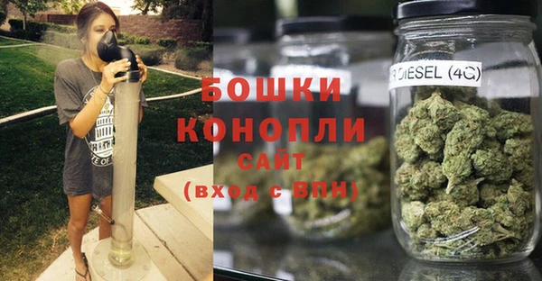 PSILOCYBIN Бородино