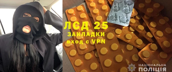 PSILOCYBIN Бородино
